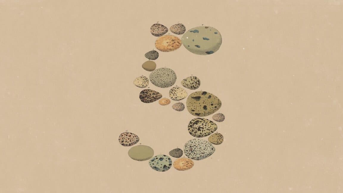 Anthropic's Opus 5 is about token efficiency, not a