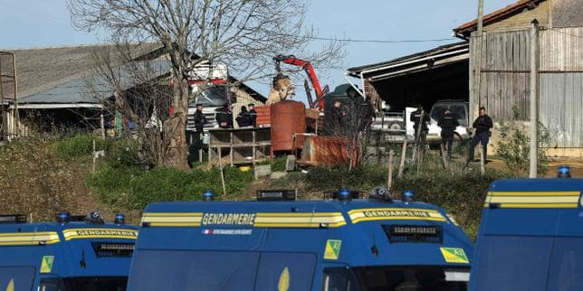 Dermatose nodulaire contagieuse : le gouvernement sous la pression des éleveurs en colère