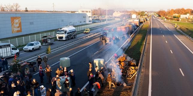 Dermatose nodulaire : « On n’a pas peur de la maladie, on a peur des abattages de bêtes », s’inquiètent les éleveurs en mobilisation