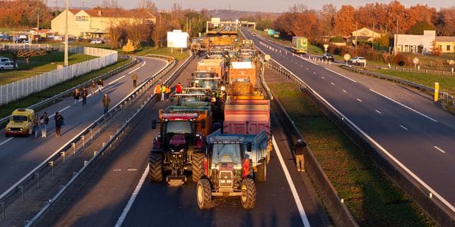 Dermatose nodulaire : à Carbonne, la résistance des « ultras de l’A64 » aux abattages de troupeaux