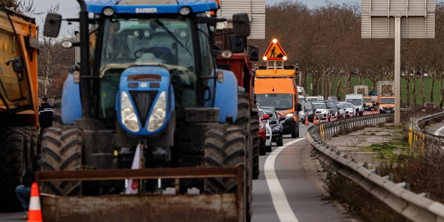 Dermatose nodulaire contagieuse : les agriculteurs toujours fortement mobilisés