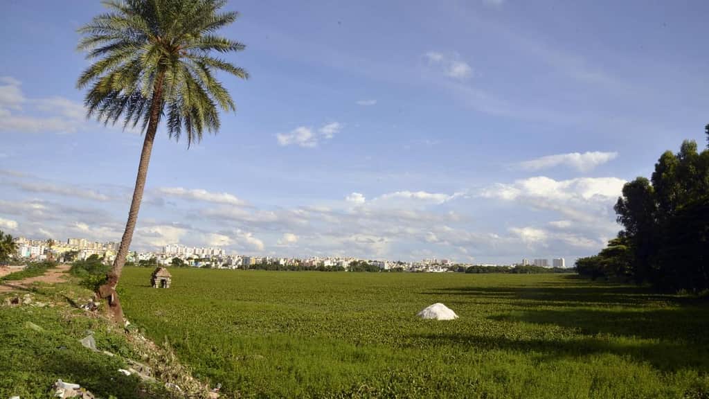 Madiwala lake facelift nears completion, but desilting plan remains on paper