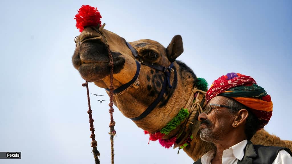 Beyond Hawa Mahal and Amer Fort: 8 offbeat destinations to explore in Jaipur