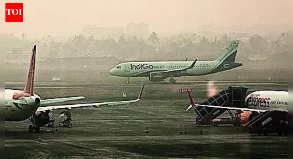 One hand bag rule vital amid power bank fire fears: Experts | India News