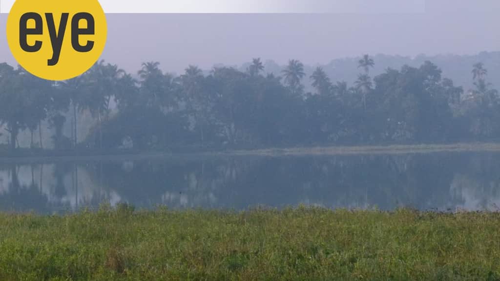 Why birdwatching at Karmali Lake in the morning is a misty wildlife spectacle