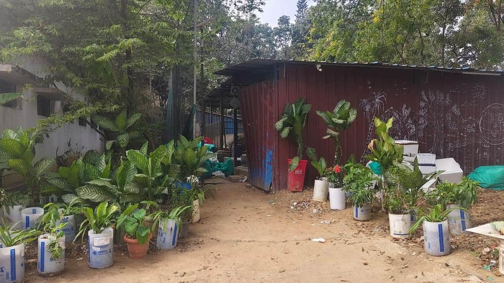 Kidwai Memorial Institute of Oncology gets ISO 14001:2015 certification for solid waste management