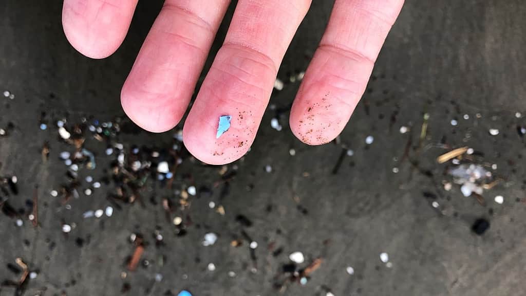 How microplastics are impairing the ocean’s ability to absorb CO2