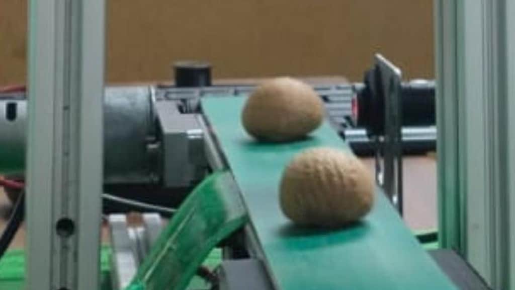 Agrileaf develops AI driven technology to grade, sort out arecanut