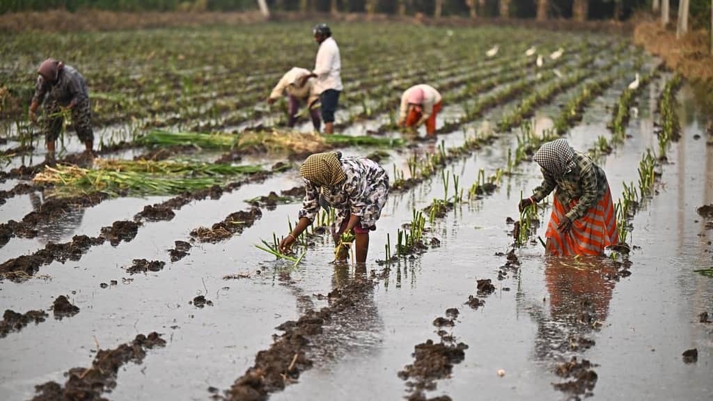 Govt. promoting smart, tech-driven agriculture to boost farmers’ income, says Andhra Pradesh Minister Atchannaidu