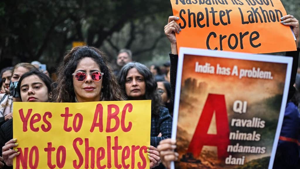 No one knows which dog is in what mood, says Supreme Court on animals roaming on roads