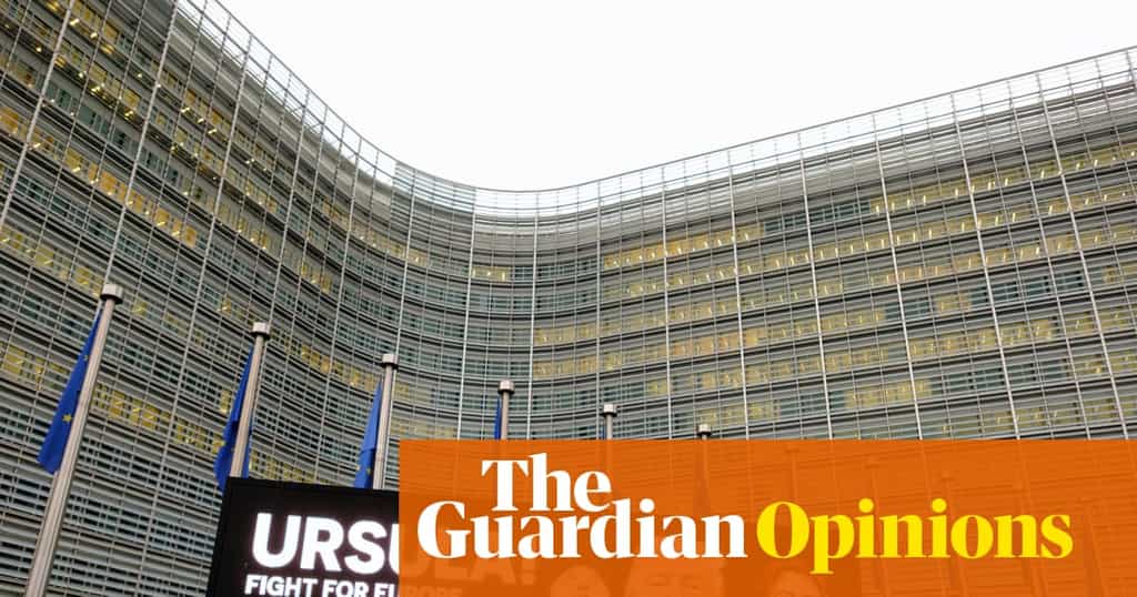 Europe faces a pincer attack from White House ideologues backed by Silicon Valley and its far-right proxies | Armida va Rij