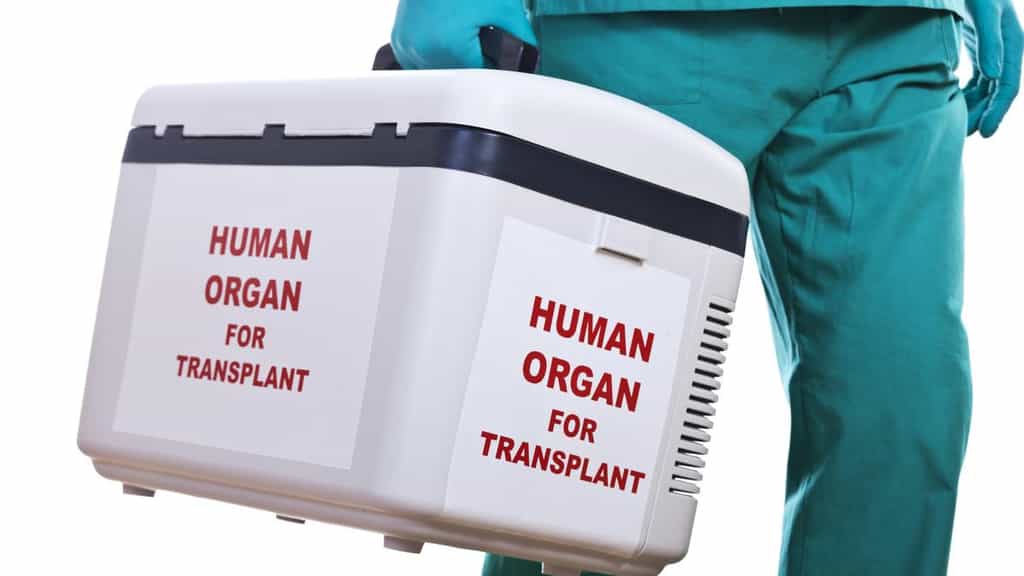 Telangana records 205 deceased organ donors in 2025, up from 41 in 2013