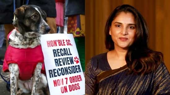 ‘Put all men in jail?’: Actor Ramya's sharp take on Supreme Court's ‘can’t read stray dog moods' remark