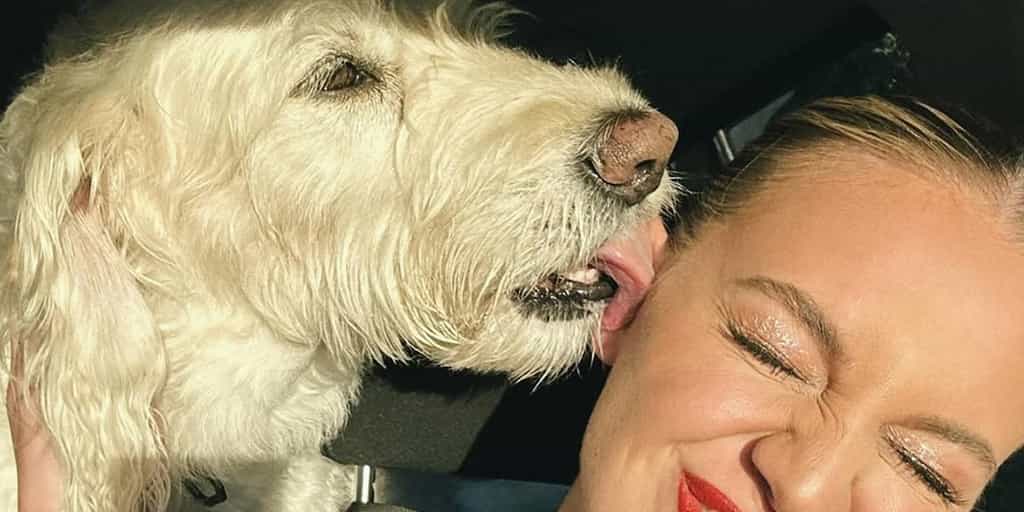 Kelsea Ballerini's Dog Dibs Dies After Cancer Battle