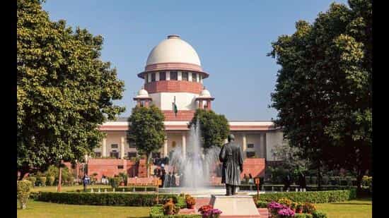 SC declines general directions on harassment of stray dog feeders