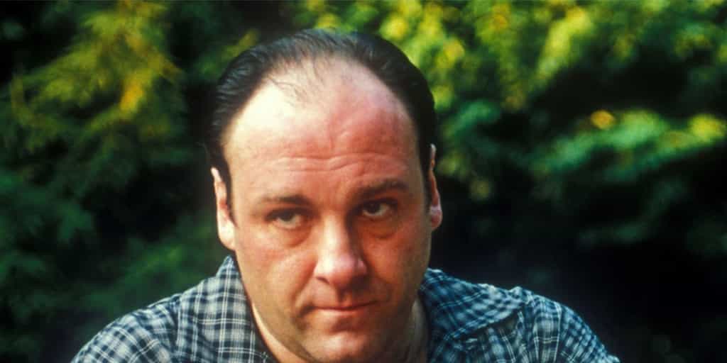 Whaddya Hear, Whaddya Say You Check Out These Secrets About The Sopranos?