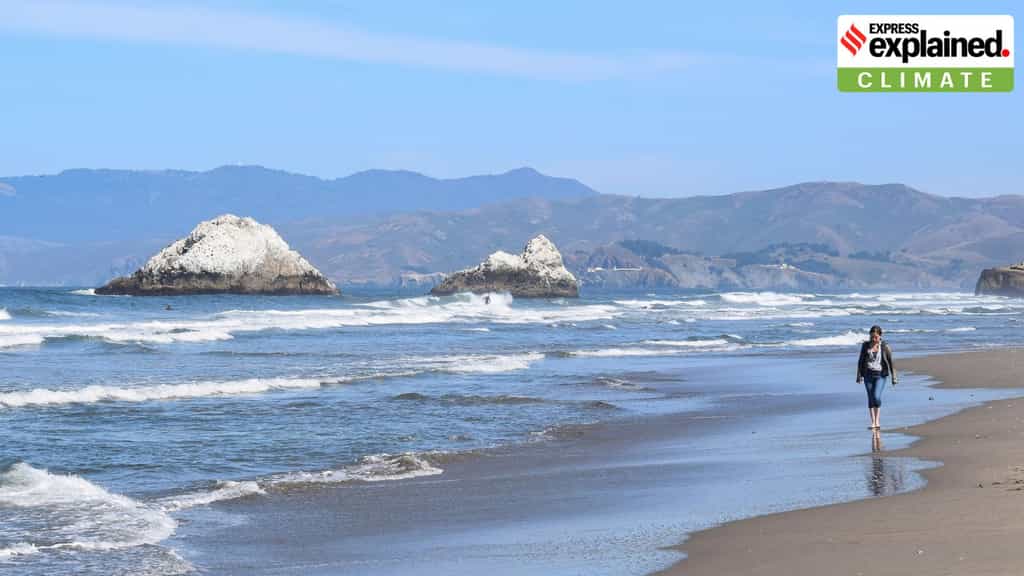 In 2025, Earth’s oceans were warmer than ever: What does it mean for the planet?