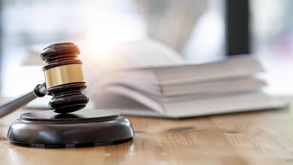 T.N. Information Commission raps petitioner for abusing RTI Act with excessive requests