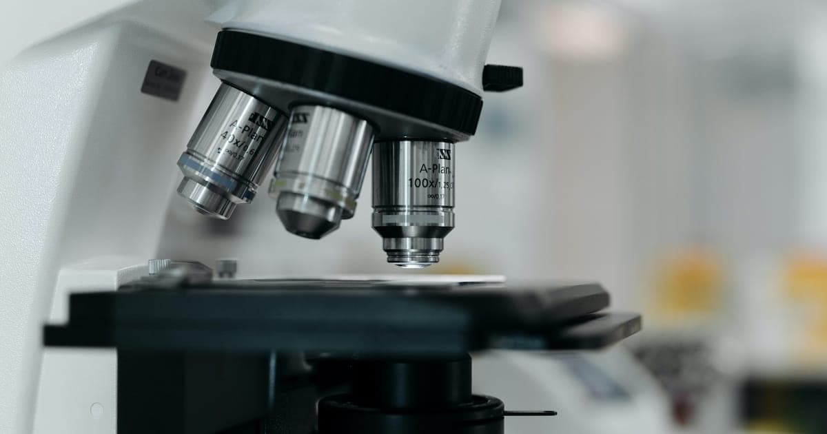 REACH revision must keep Europe safe